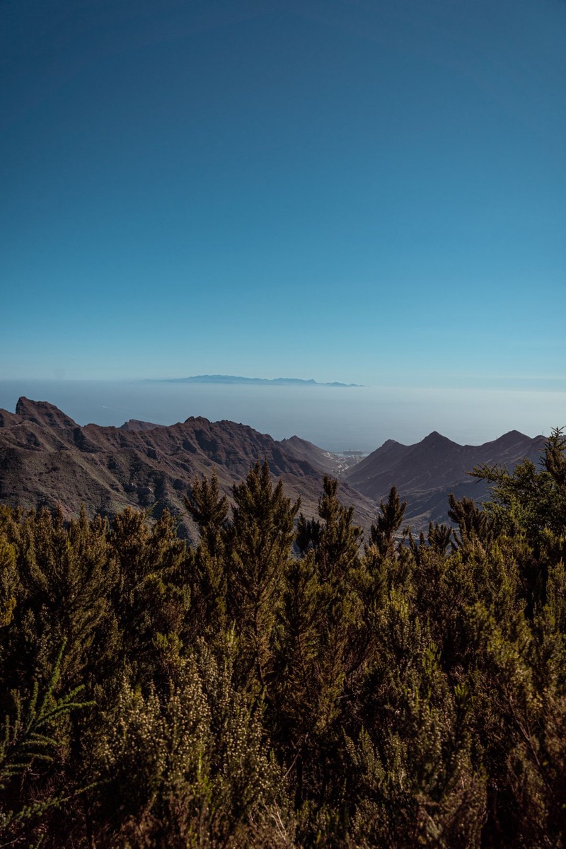 Carretera norte de Tenerife con palmeras y el Teide al fondo