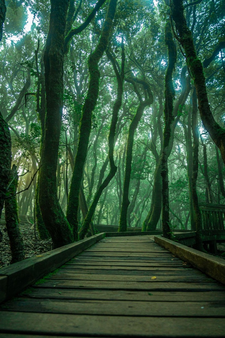 Paisaje de los montes de Anaga en Tenerife